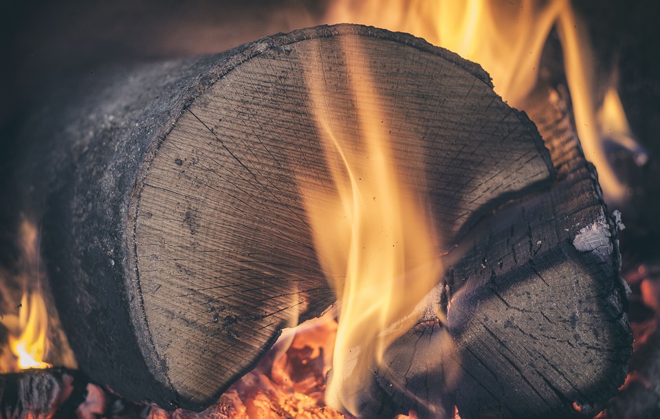 OFICIAL: TVA-ul pentru lemne de foc a fost redus de la 19% la 5%